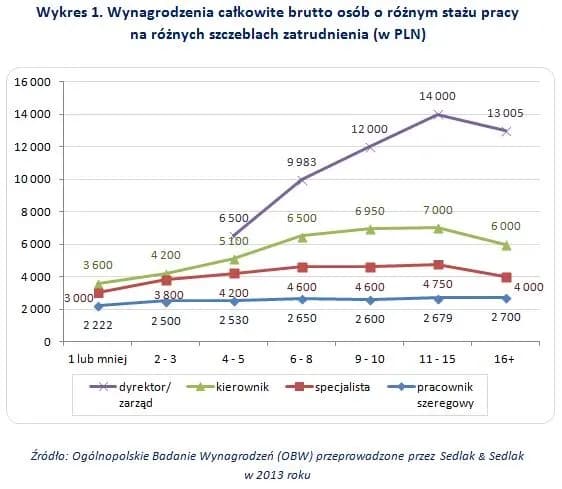 Ile się zarabia na stażu? Sprawdź, co wpływa na wynagrodzenie